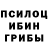Галлюциногенные грибы мицелий Veronika H