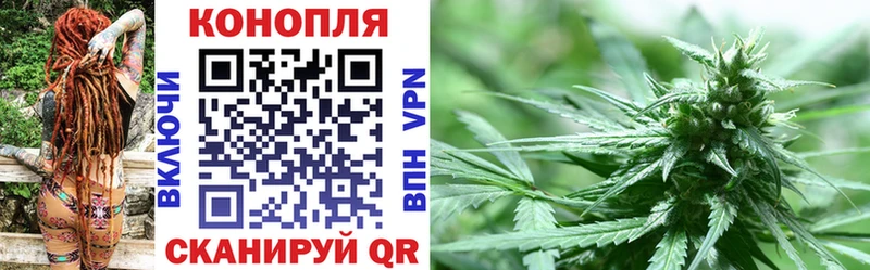 Купить где  Михайловка  Конопля SATIVA & INDICA 